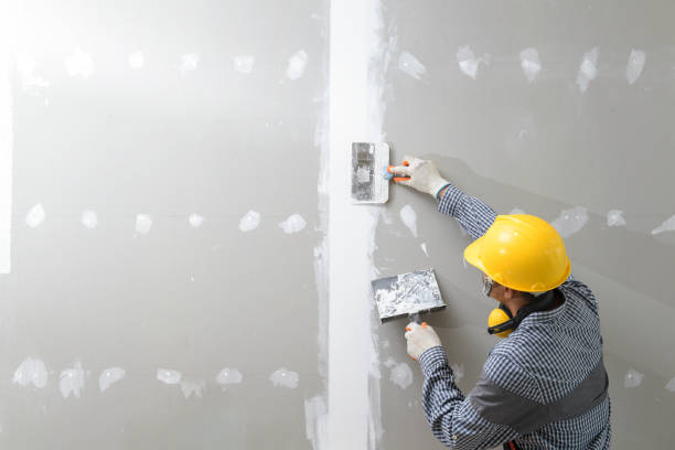 Best Drywall for New Construction  in Byron, MN